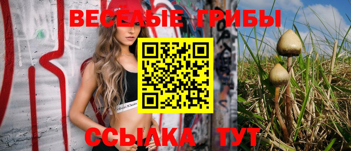 Псилоцибиновые грибы Magic Shrooms Новокубанск