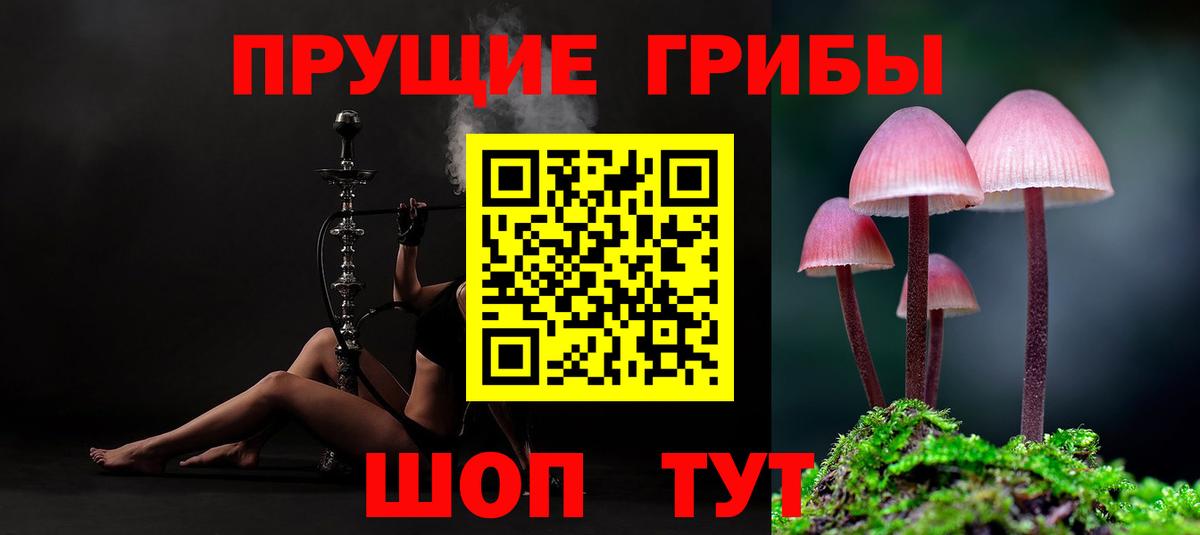 Псилоцибиновые грибы GOLDEN TEACHER  Вход с VPN  Новокубанск 